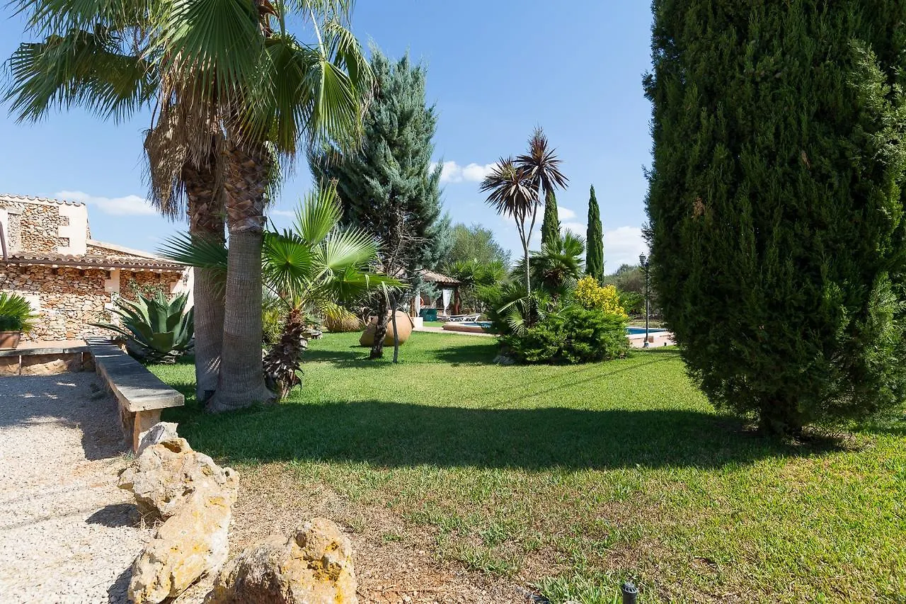 Mostatxet Sencelles Spain